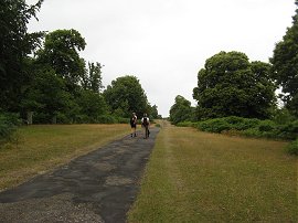 Path through Knole Park
